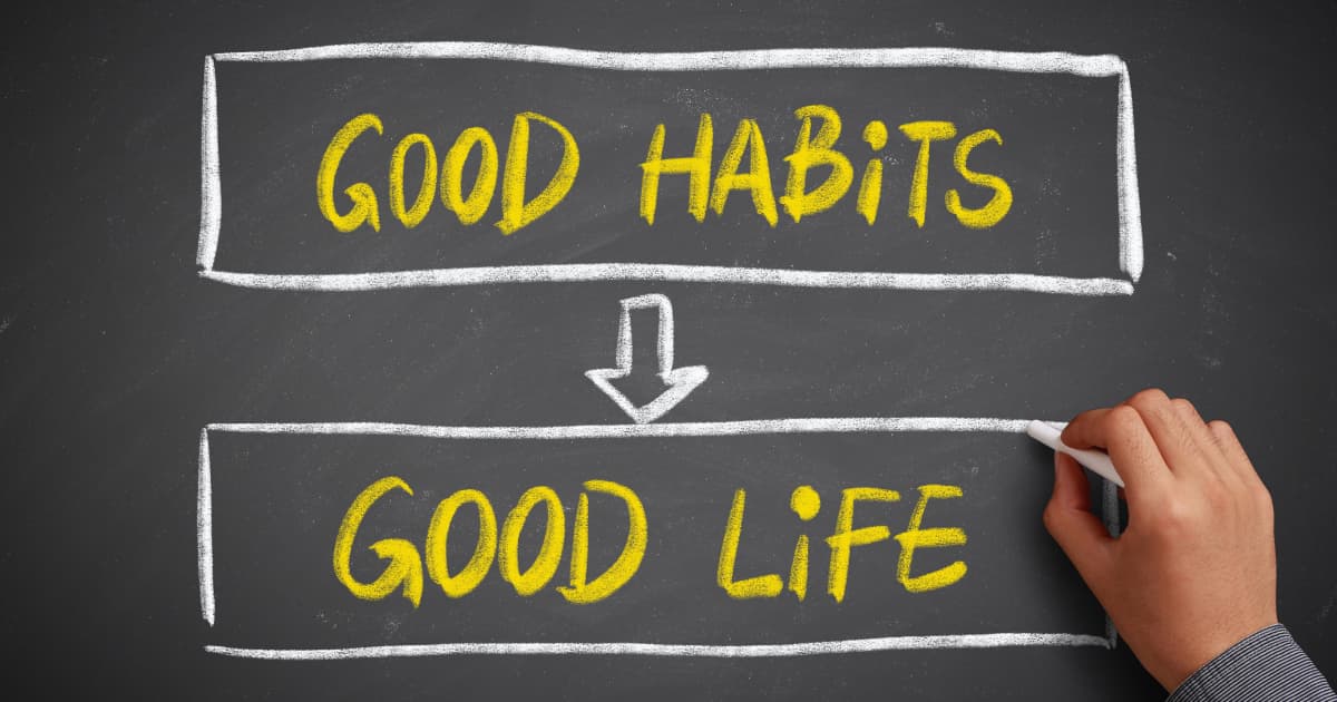 no33habit